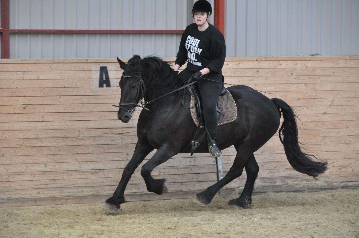 Frieser Tessa - Forår 12, Foto: Stine S.  billede 20