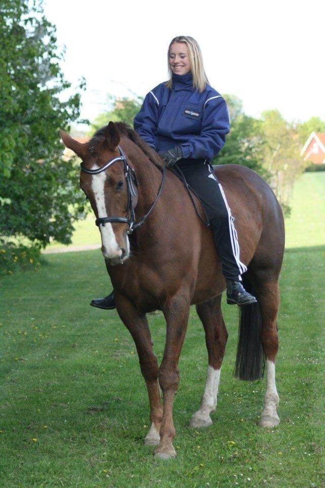 Traver Powerful Winning billede 17