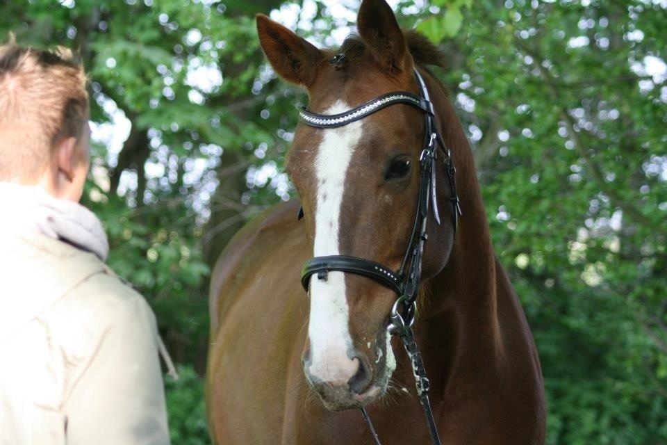 Traver Powerful Winning billede 18