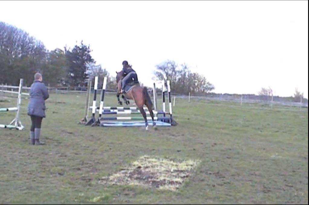 Dansk Varmblod Rikke*Stjerne* - Springtræning den 12.maj 2013 :) beklager kvalitet, taget fra video :) billede 8