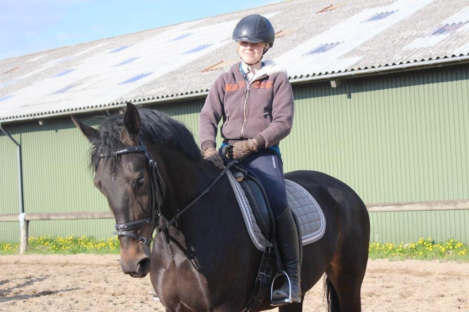 Oldenborg Kirsebærsgården Cayenne billede 7