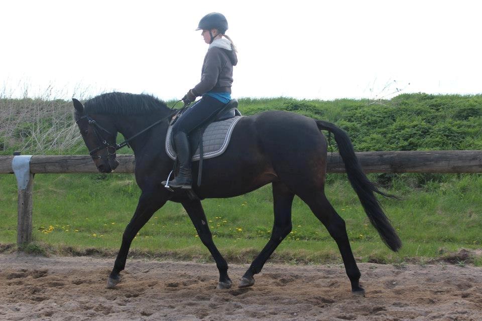 Oldenborg Kirsebærsgården Cayenne billede 5