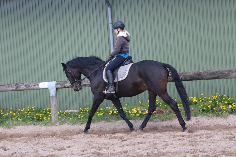 Oldenborg Kirsebærsgården Cayenne billede 6