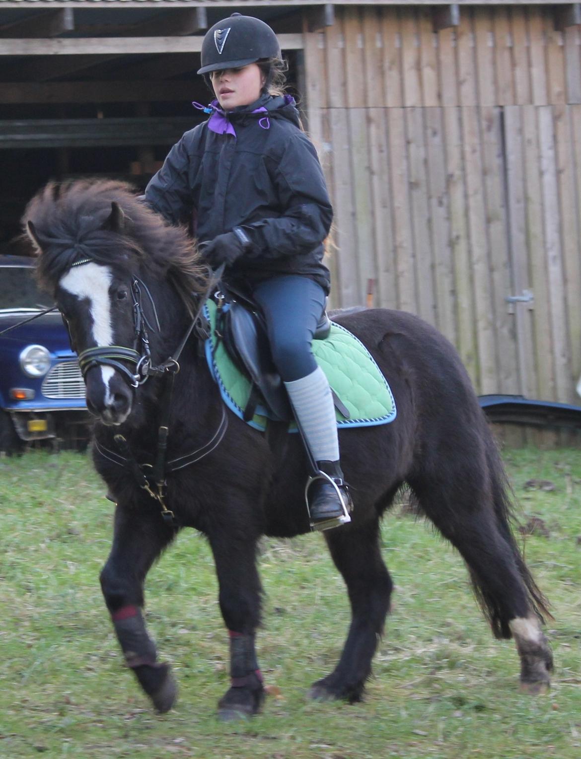 Anden særlig race Willy Vodka! Solgt! billede 2