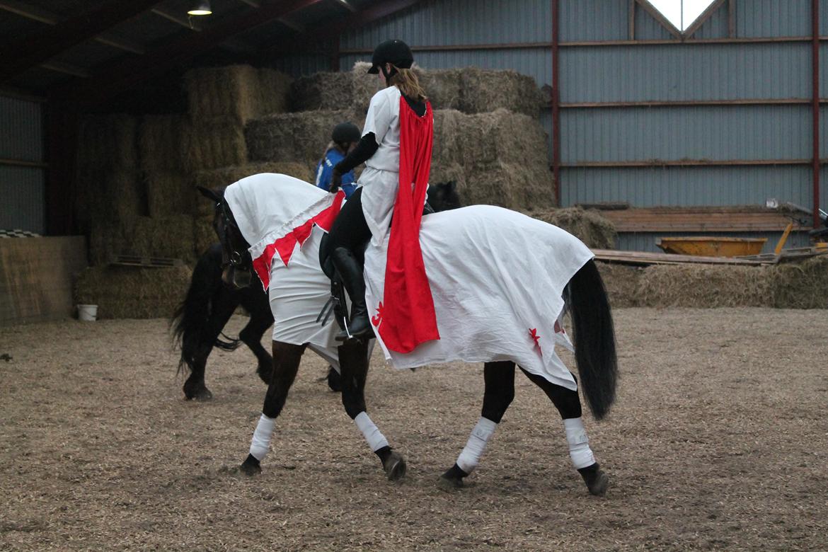 Dansk Varmblod Landeur (Litan) R.I.P billede 20