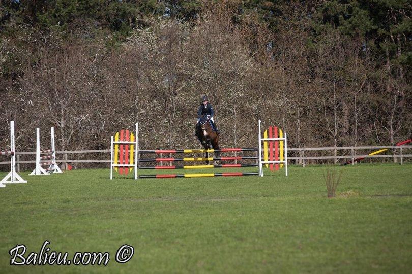 Anden særlig race Jari billede 11