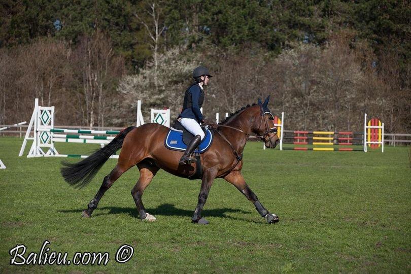 Anden særlig race Jari billede 13