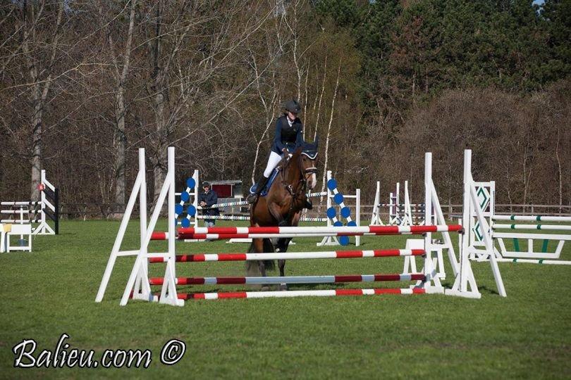 Anden særlig race Jari billede 14