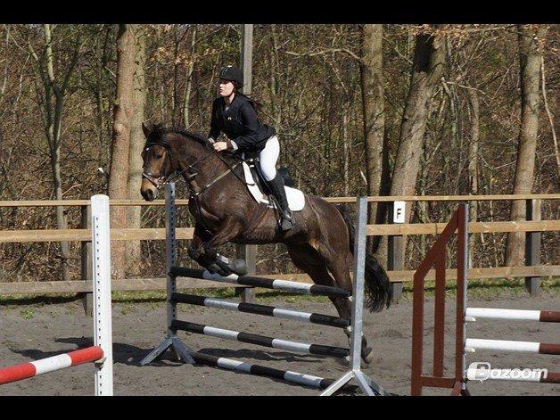 Anden særlig race Miss Fine Bine - LRK 20/4 13 billede 16