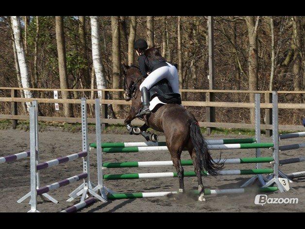 Anden særlig race Miss Fine Bine - LRK 20/4 13 billede 18