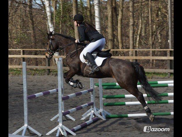 Anden særlig race Miss Fine Bine - Første stævne <3 billede 9