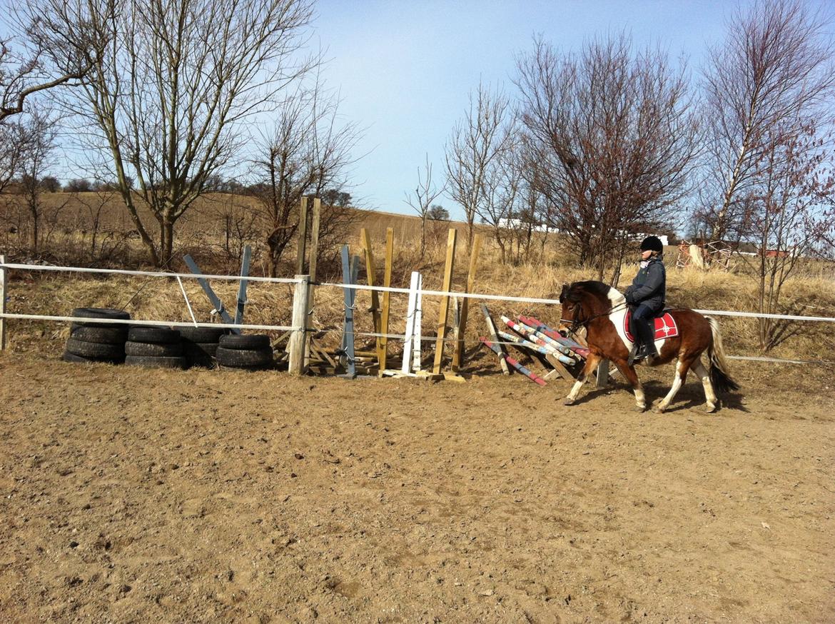 Anden særlig race Valde af ebbedal m - 3 gang matilde rider valde billede 3