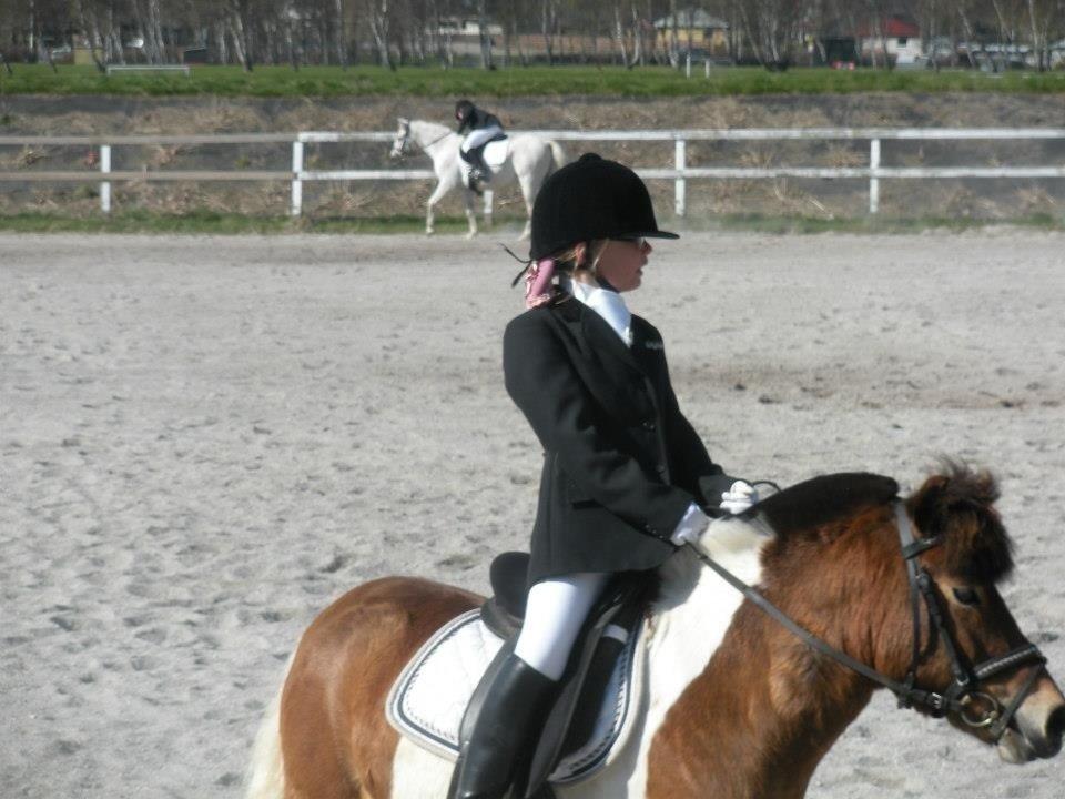 Anden særlig race Valde af ebbedal m - stæven hur den 5 maj billede 4