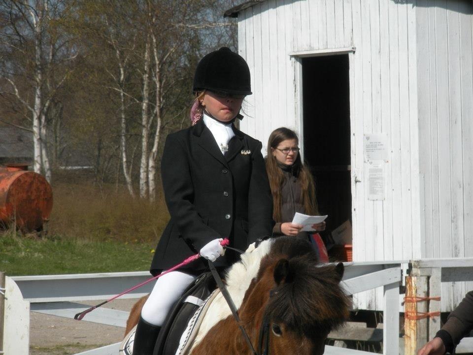 Anden særlig race Valde af ebbedal m - stæven hur den 5 maj billede 5
