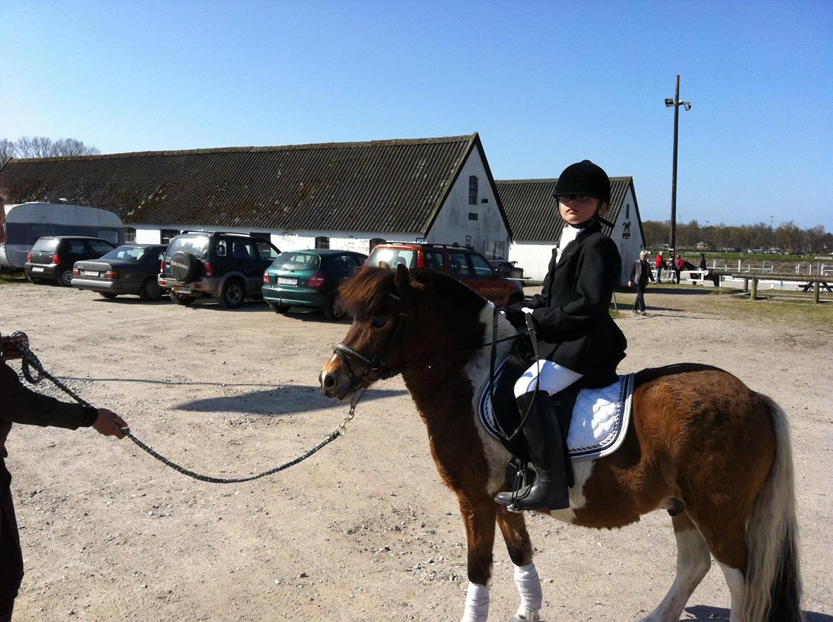 Anden særlig race Valde af ebbedal m - stævne den 5 maj billede 7