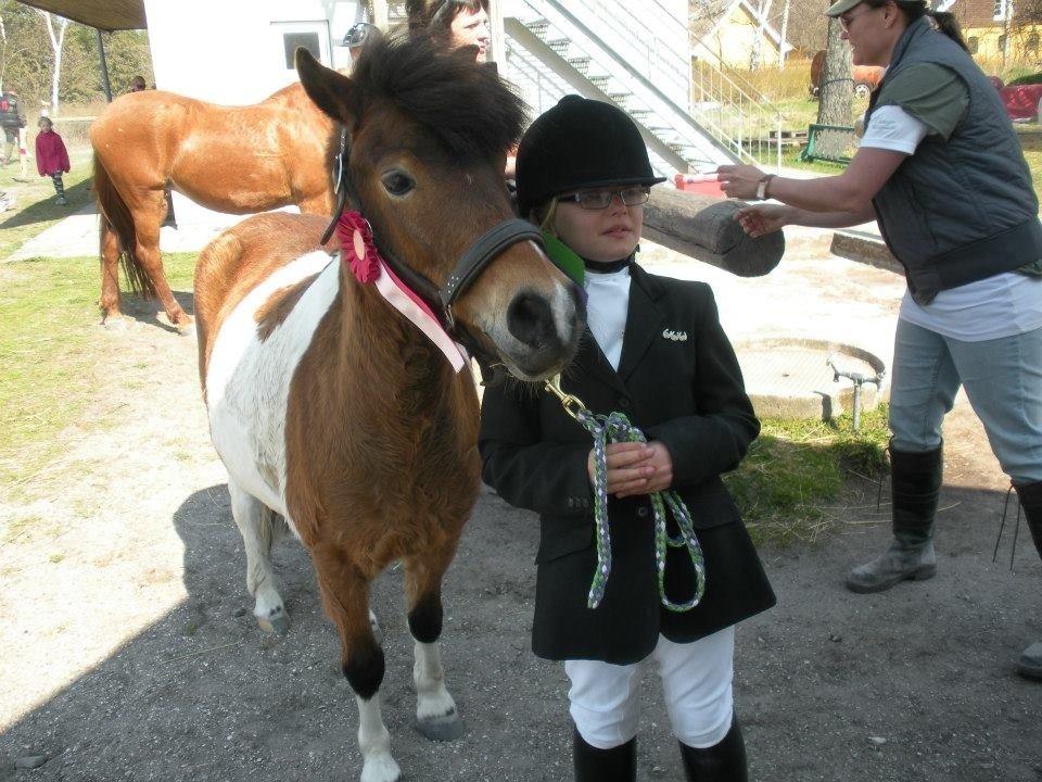 Anden særlig race Valde af ebbedal m - så fine de er med rosetter billede 8