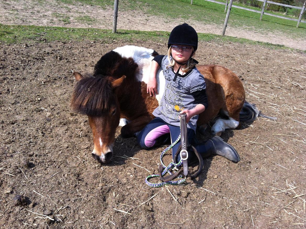 Anden særlig race Valde af ebbedal m - en træt valde efter undervisning  billede 1