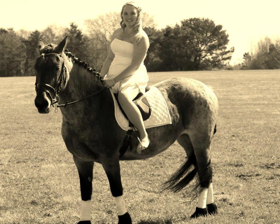 Anden særlig race Donna Karan billede 16