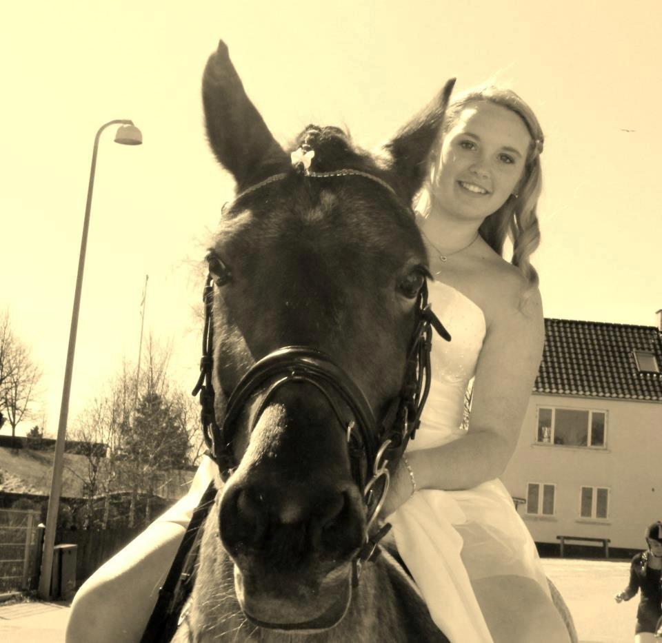 Anden særlig race Donna Karan billede 17