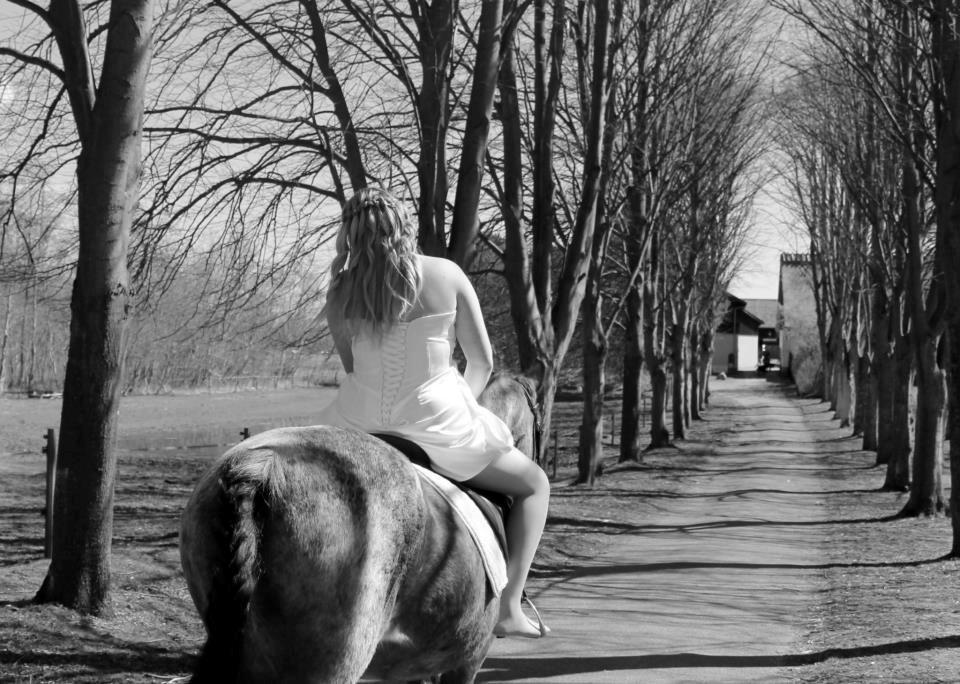 Anden særlig race Donna Karan billede 18