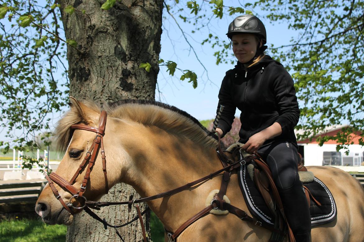 Anden særlig race Kontra billede 3
