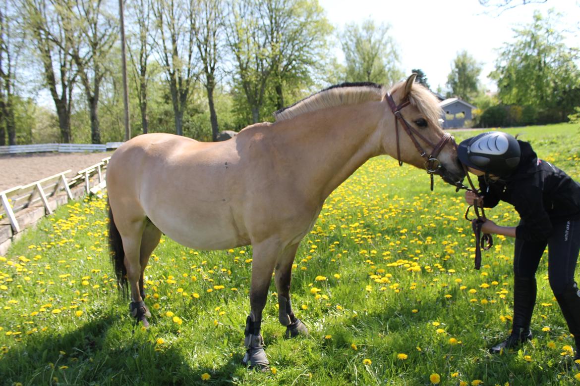 Anden særlig race Kontra - Kys til dig min dreng! Du fantastisk!  billede 4