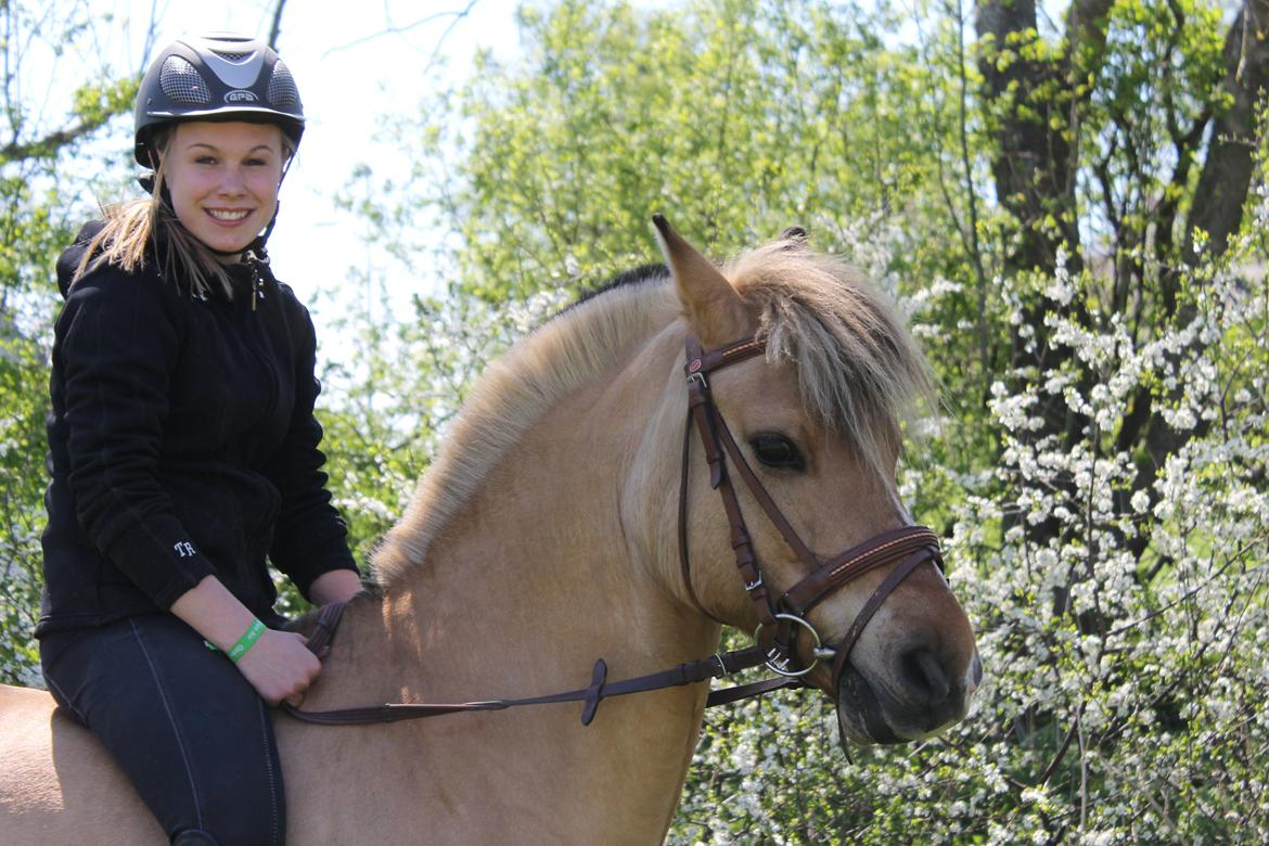 Anden særlig race Kontra billede 6