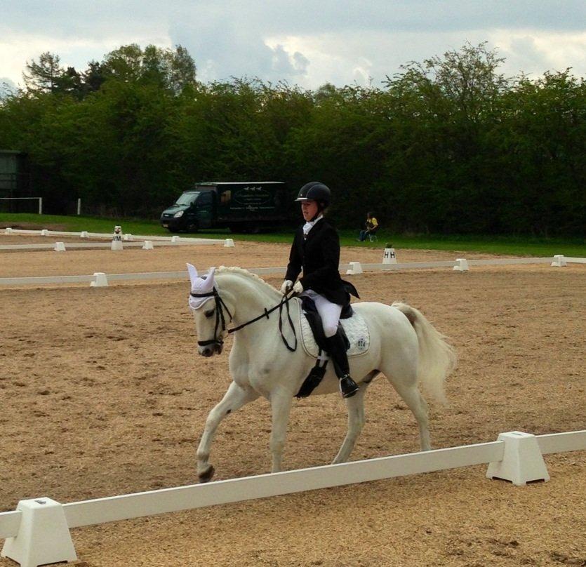 Anden særlig race Heri's Skywalker Conall billede 14