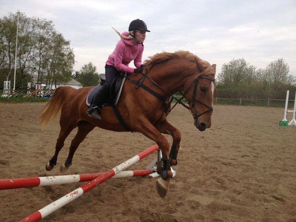 Frederiksborg Bakkegårds Nathasja billede 19