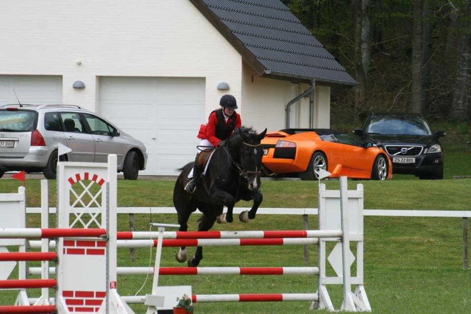 Oldenborg Hr. Man  - NYT!
Morsø 2013 billede 10