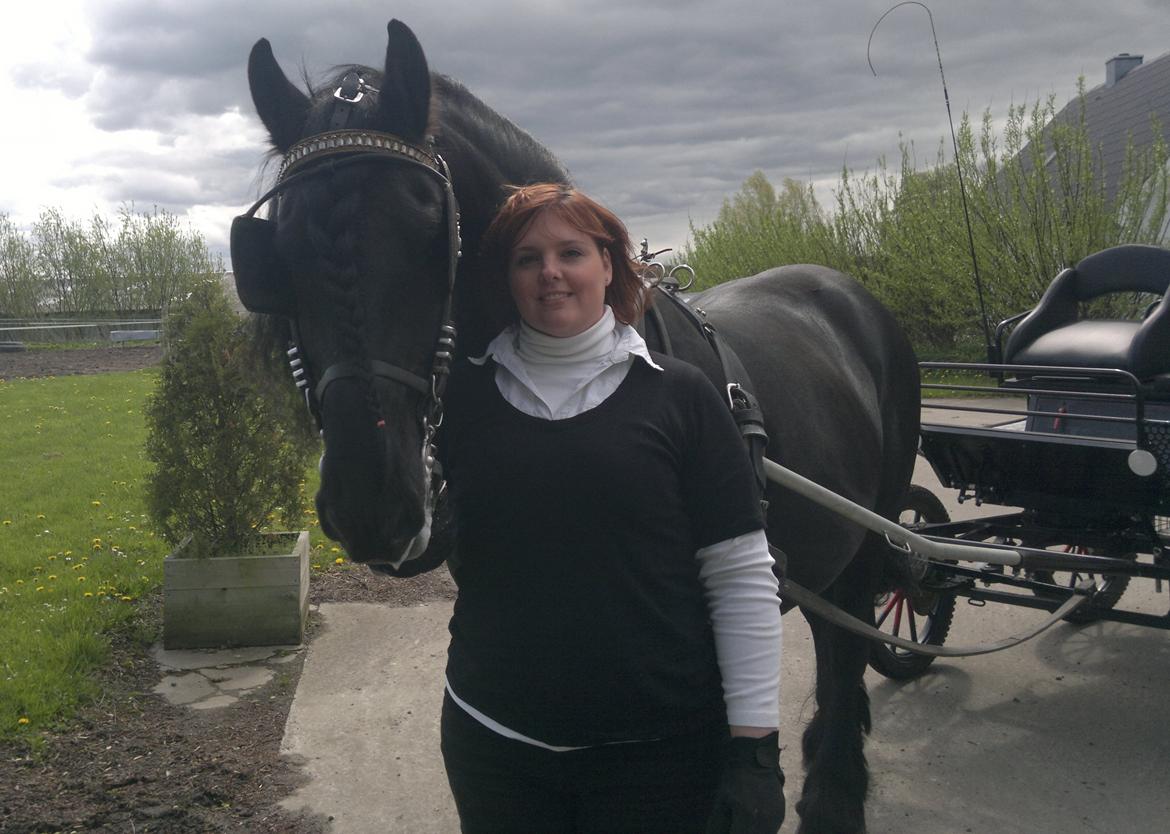 Frieser Abel [Himmelhest] billede 4