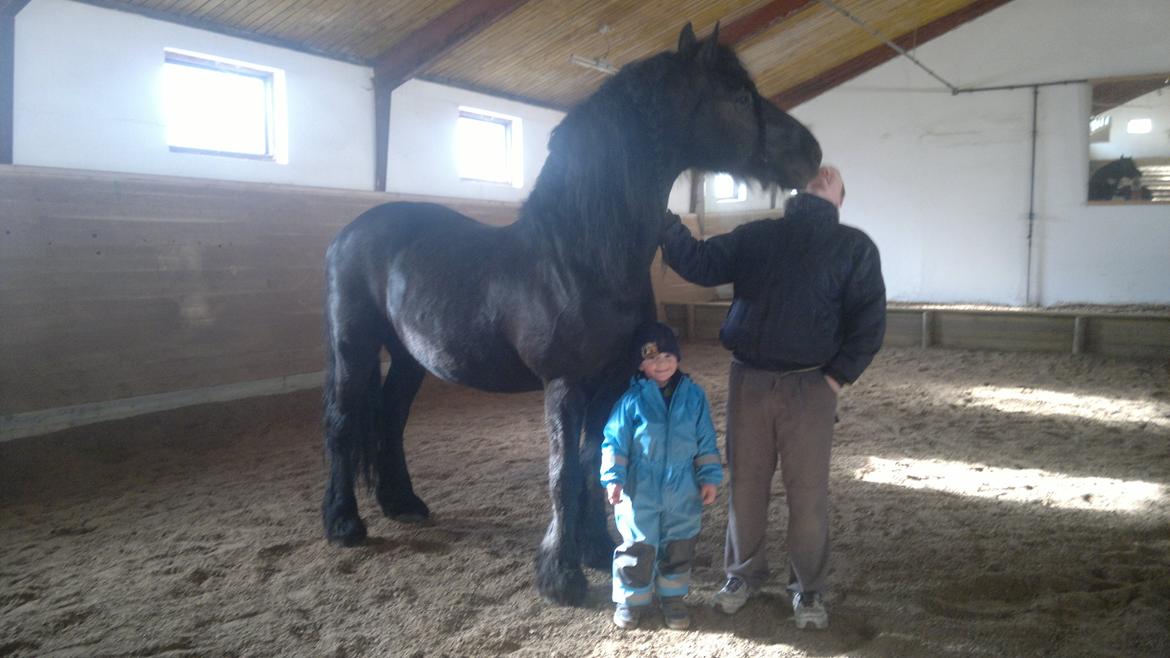 Frieser Abel [Himmelhest] billede 9