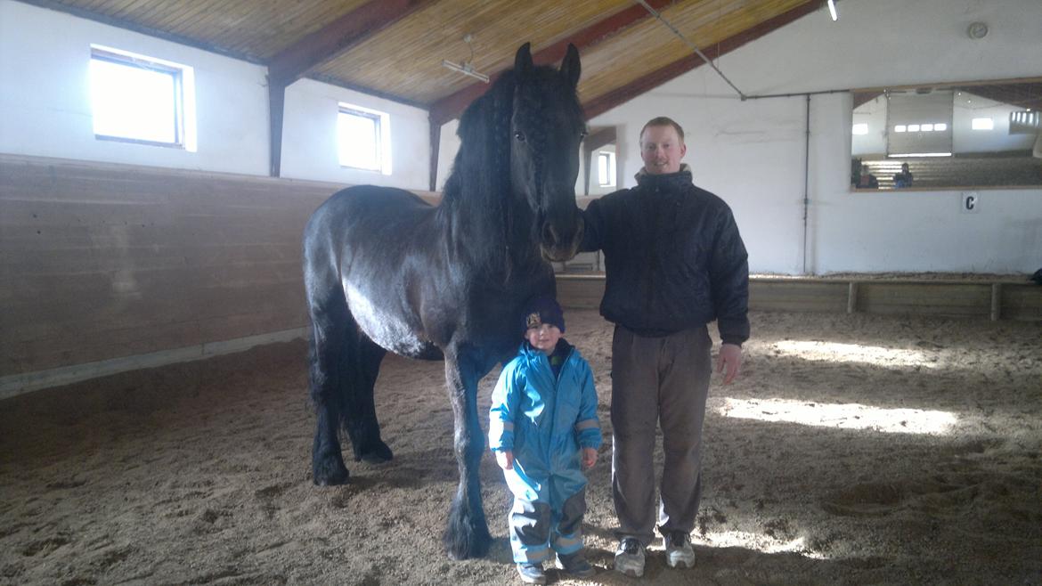 Frieser Abel [Himmelhest] billede 10