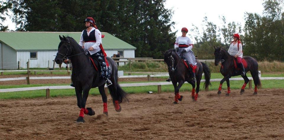 Frieser Abel [Himmelhest] billede 12