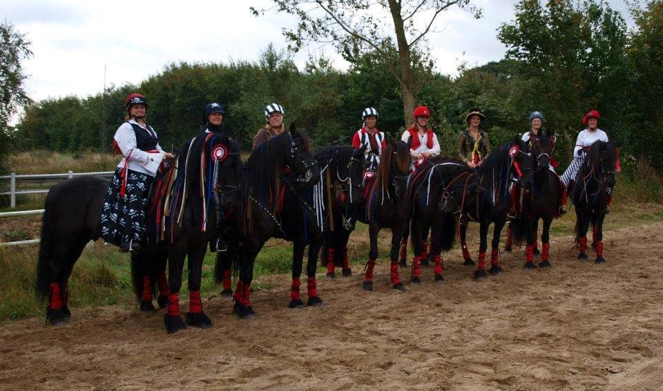 Frieser Abel [Himmelhest] billede 13