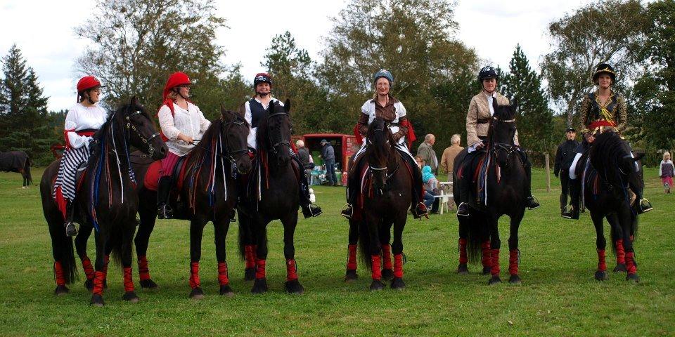 Frieser Abel [Himmelhest] billede 14