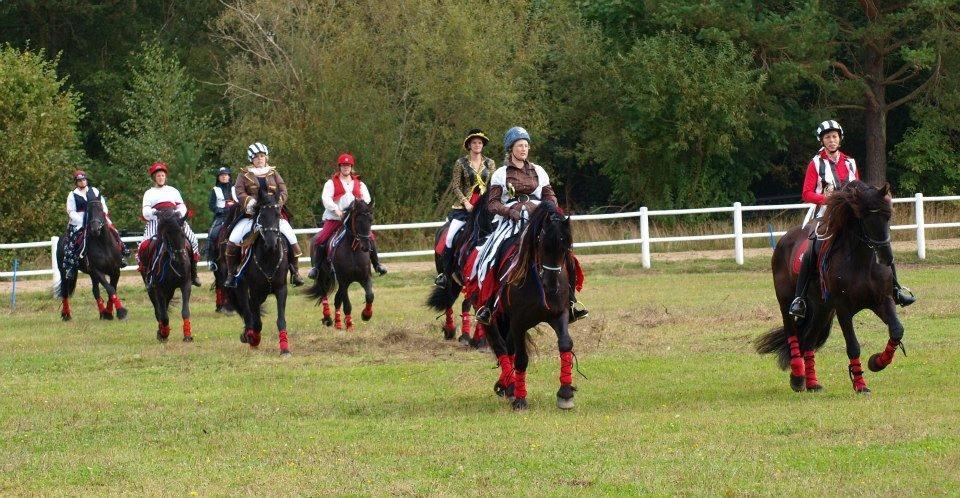 Frieser Abel [Himmelhest] billede 15