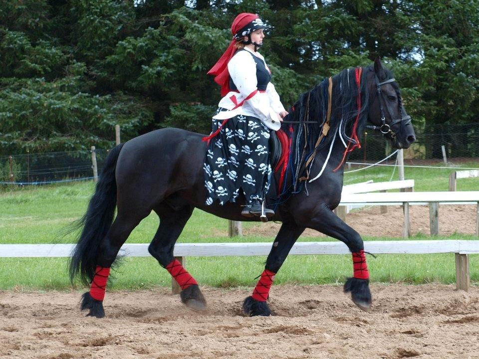 Frieser Abel [Himmelhest] billede 16