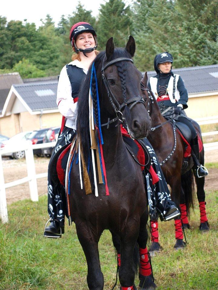 Frieser Abel [Himmelhest] billede 17