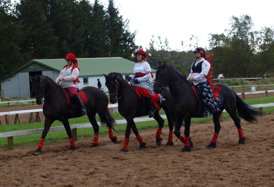 Frieser Abel [Himmelhest] billede 18