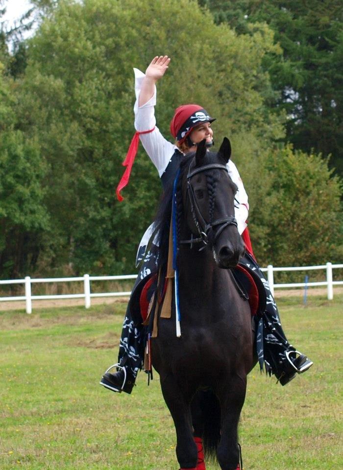 Frieser Abel [Himmelhest] billede 19