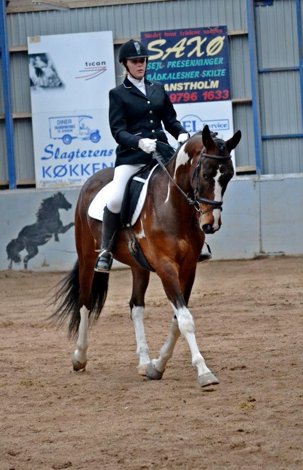 Pinto Kejser - første stævne billede 15
