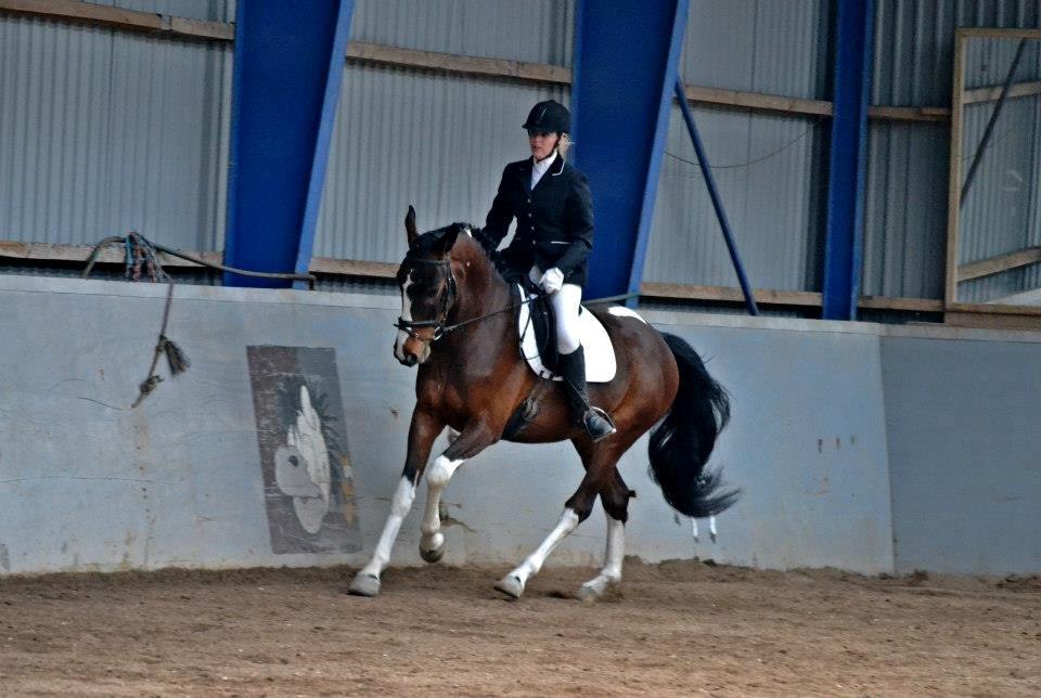 Pinto Kejser billede 16