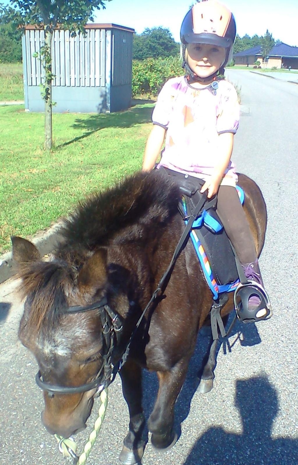 Anden særlig race Filur billede 13