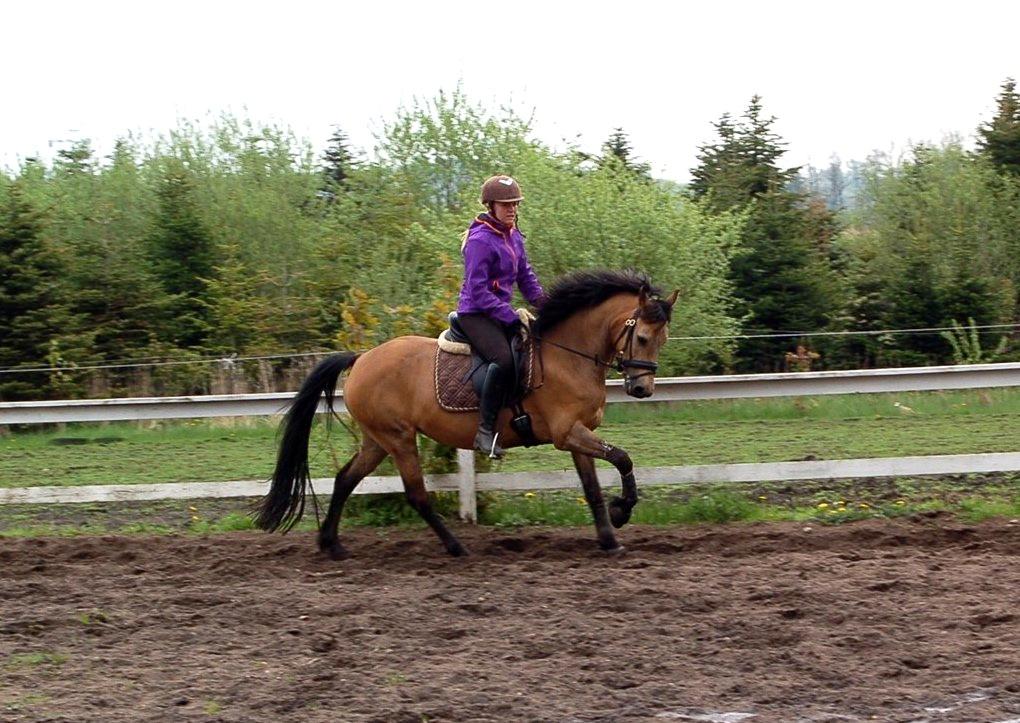Anden særlig race Assenhøj's Bellezza billede 20