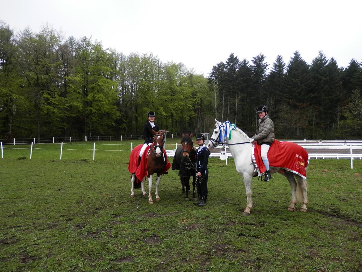 Pinto Chamilla<3 - Team SJR Mors 2013 billede 12