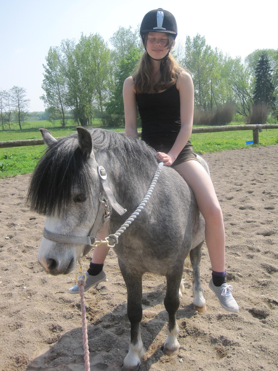 Welsh Mountain (sec A) Gribsvads Niam *sommer part* - Så var jeg oppe på ham igen <3
d. 16.05.13
Foto: min søster billede 1