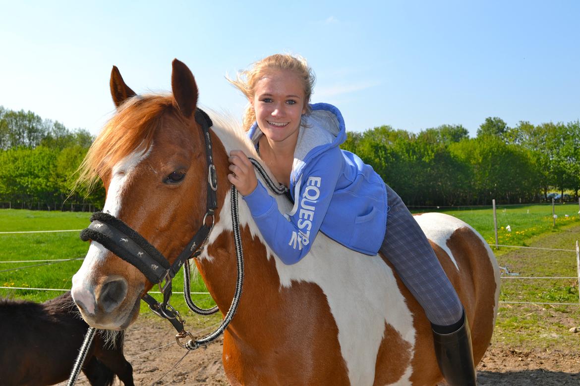 Pinto Blade - Sommer <3 <3 <3 billede 13