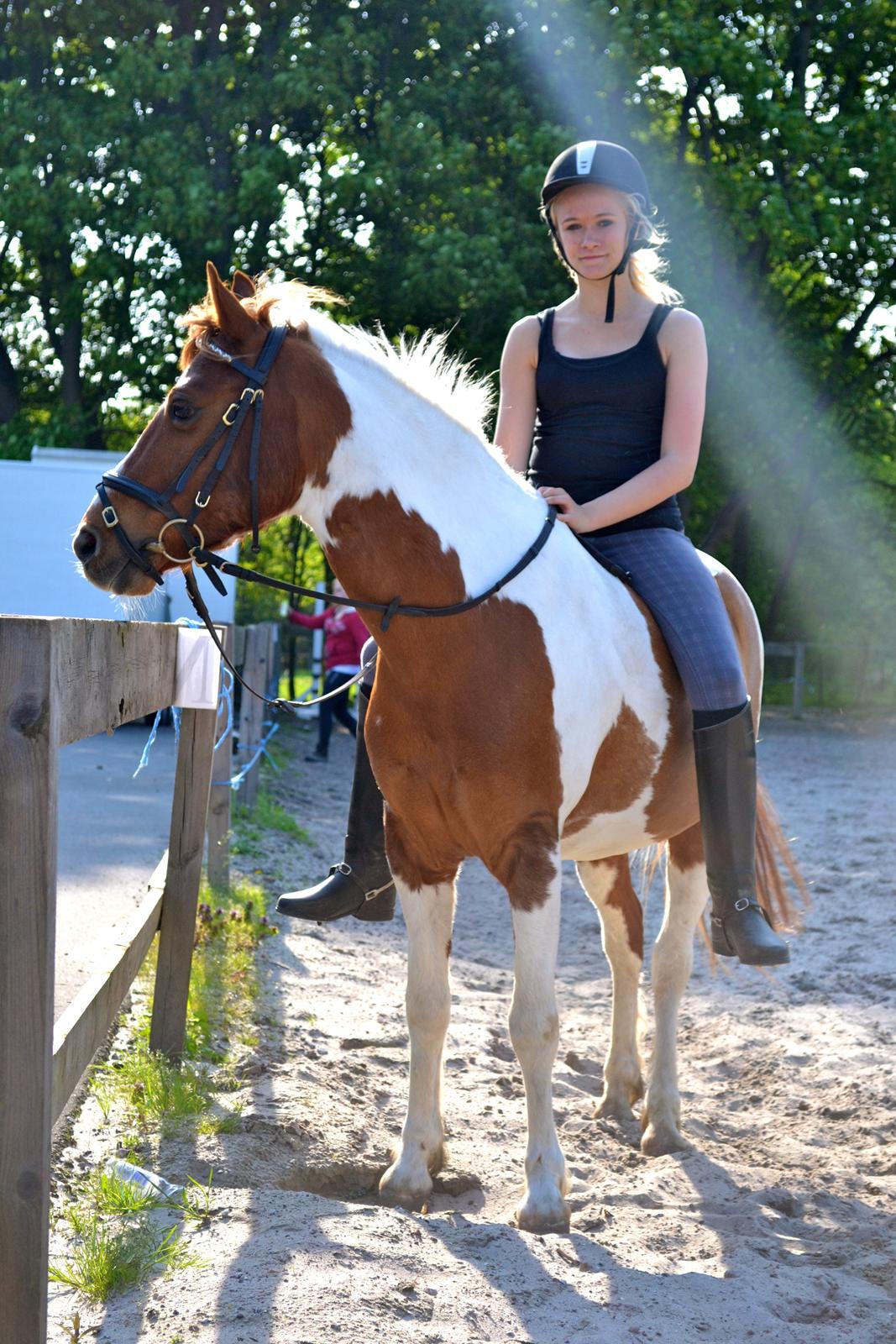 Pinto Blade - Sommer <3 <3  billede 15