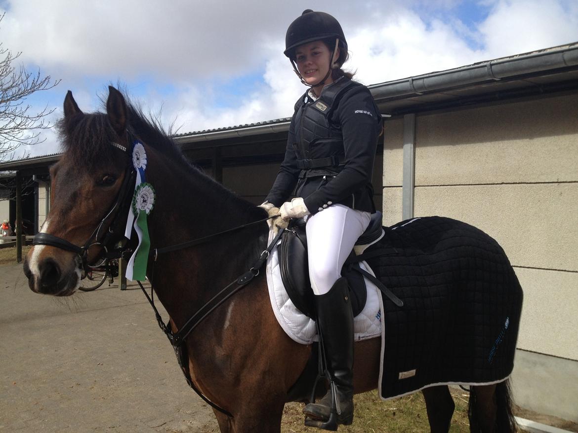 New Forest Odden's Daytonna A-Pony - 3.plads i MB2** og 2.plads i MA1* i hjørring 2013<3 billede 12